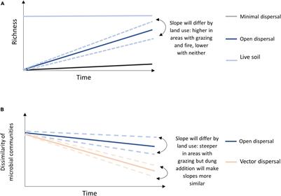 Microbial Dispersal, Including Bison Dung Vectored Dispersal, Increases Soil Microbial Diversity in a Grassland Ecosystem